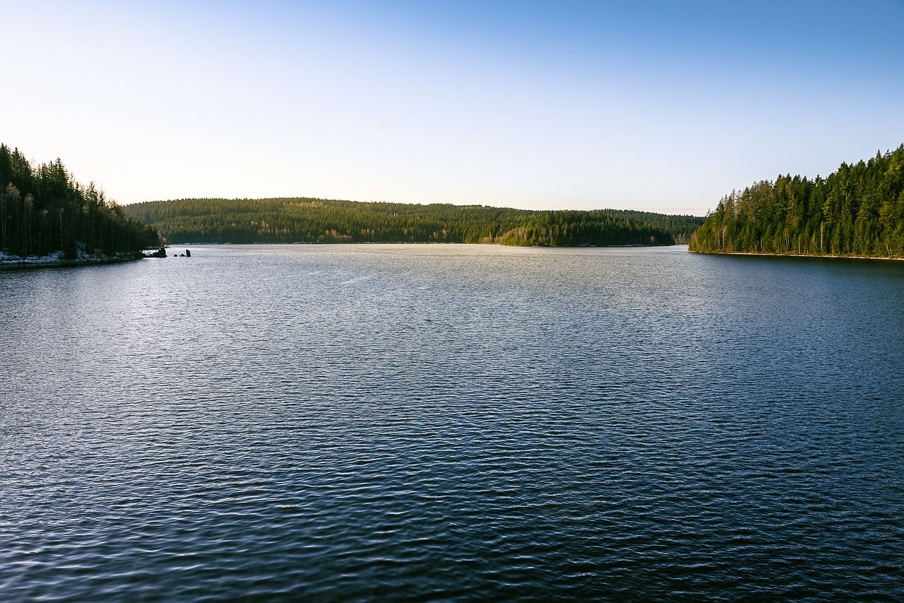 Kácení stromů u Liberecké přehrady: Biodiverzita a náhradní výsadba na obzoru