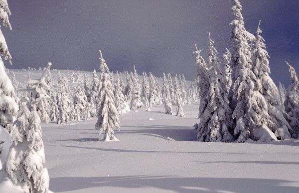 Levnější skipasy, širší sjezdovky. Lyžaře v Krkonoších čekají novinky