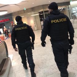 Řidič dodávky usnul za volantem a havaroval