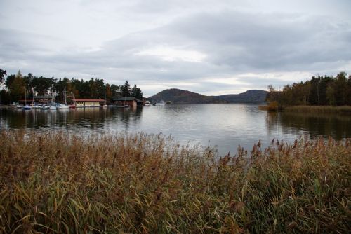 Obrázek - 